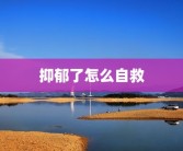 是什么生肖(衔华佩实是指什么生肖)求“衔华佩实”的解释？