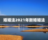 intp型人格最适合伴侣INTP型人格最适合伴侣：为什么他们是完美的配偶选择？