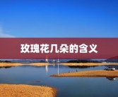 nantongxinglian(tongxinglian)同性恋是什么？